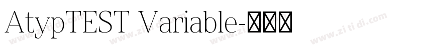 AtypTEST Variable字体转换 AtypTEST Variable字体转换